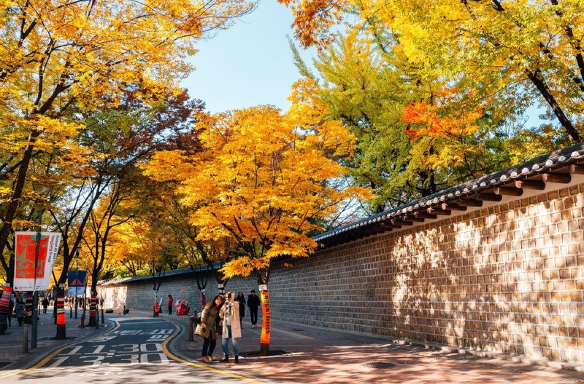 busan-du-lich-han-quoc-thang-11