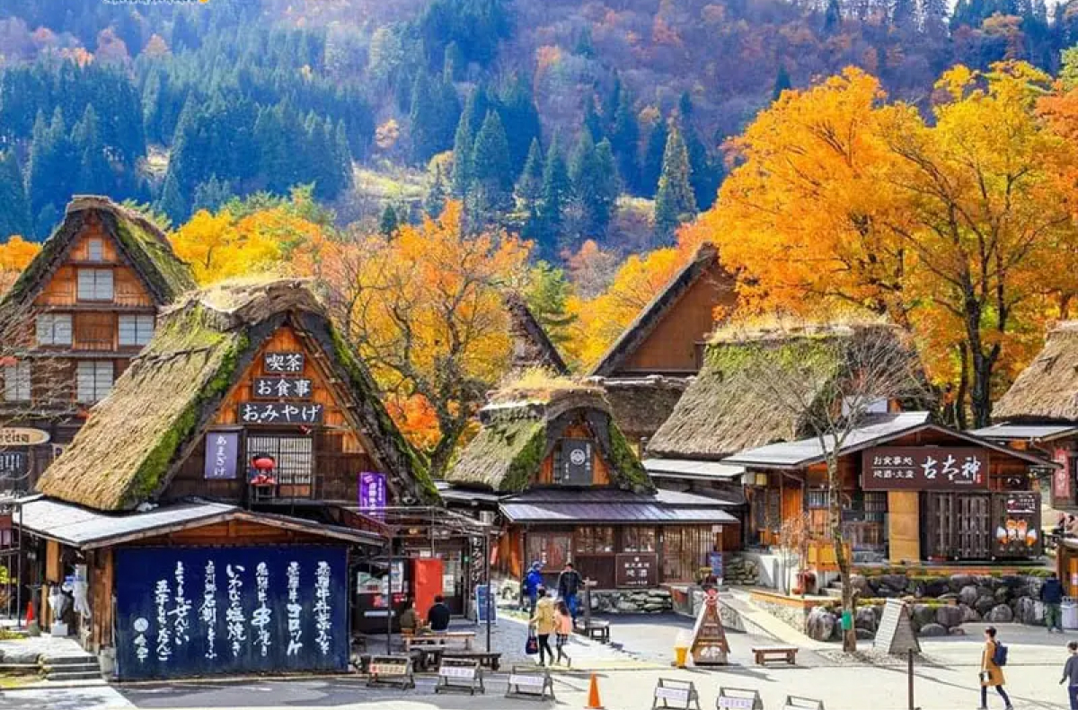 doi-net-lang-co-Shirakawa-go