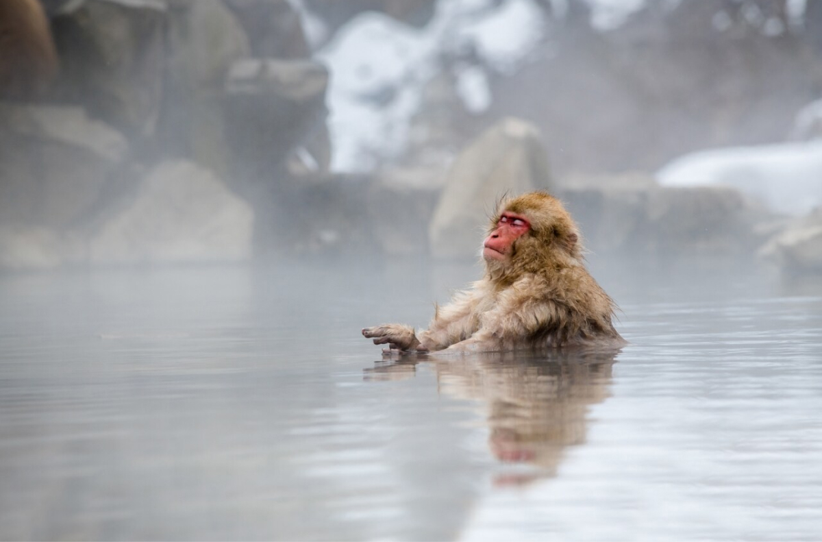 khi-tuyet-tam-suoi-nuoc-nong