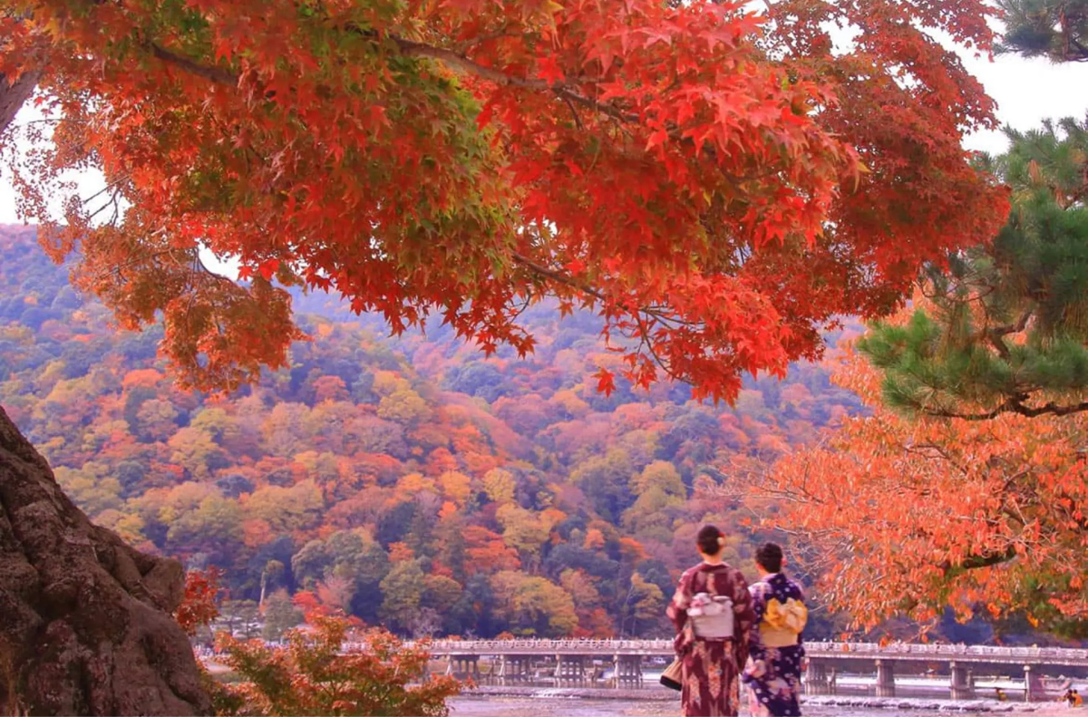 le-hoi-la-phong-du-lich-nhat-ban-thang-11