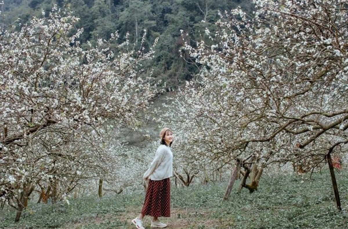 moc-chau-du-lich-viet-nam-mua-dong