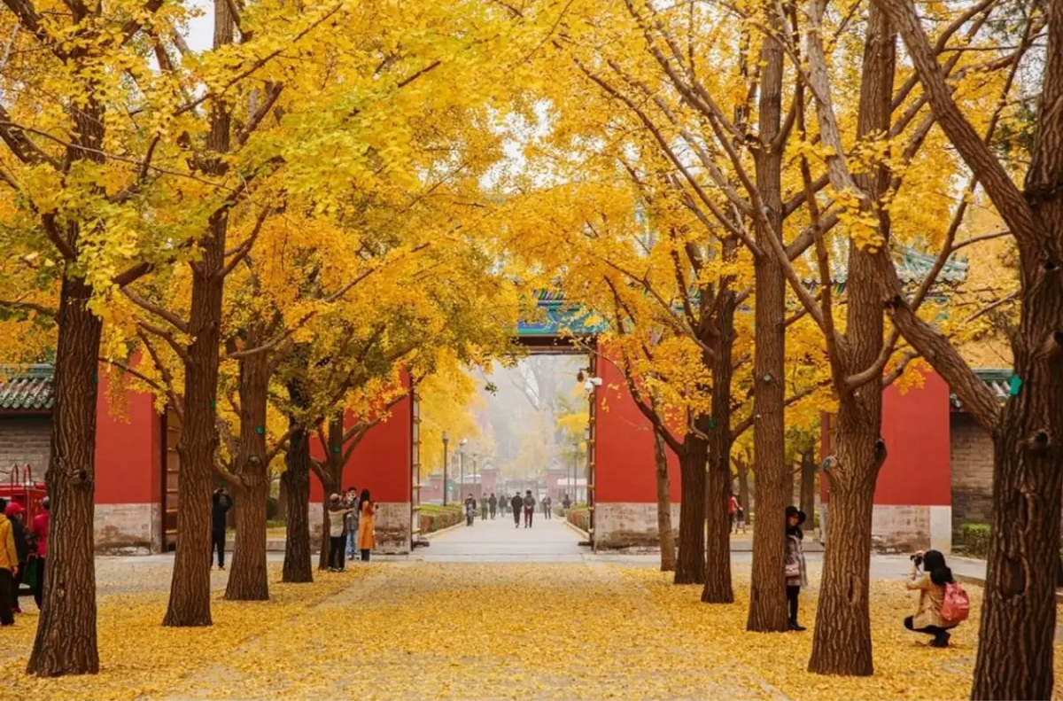 thoi-tiet--du-lich-trung-quoc-thang11 (1)