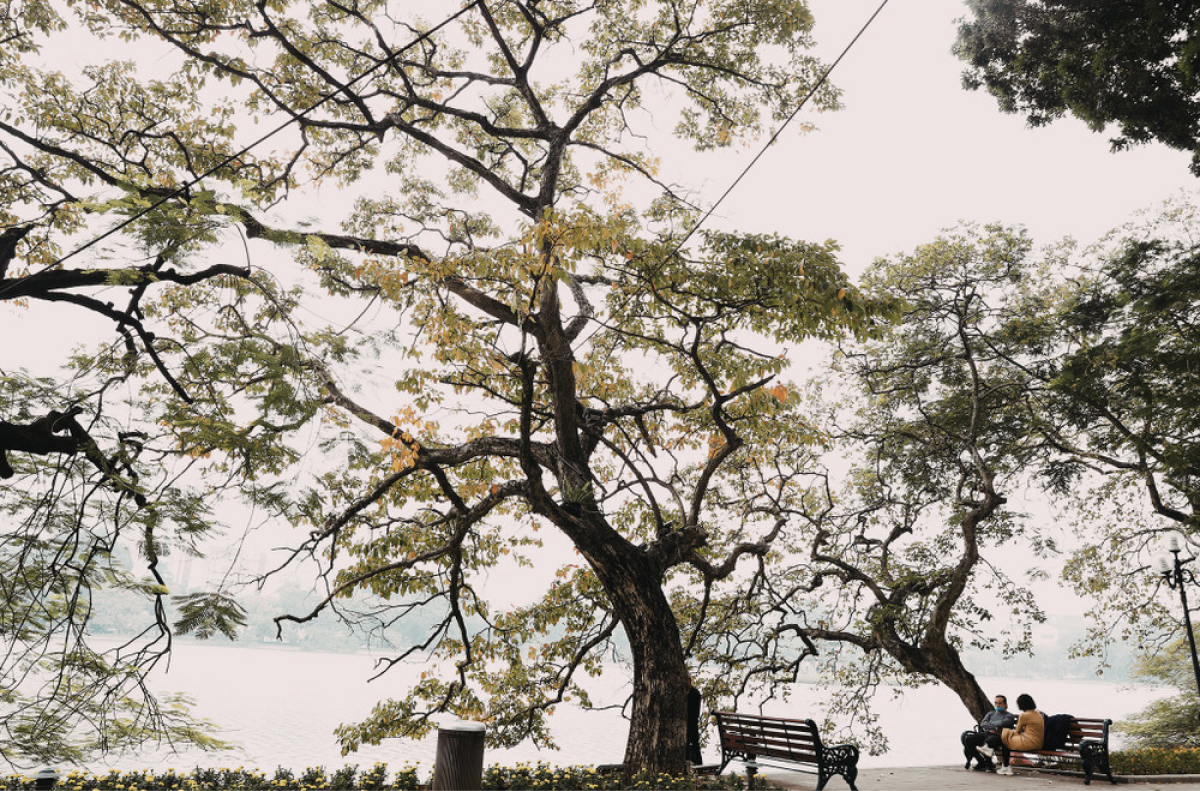 thoi-tiet-du-lich-viet-nam-mua-dong