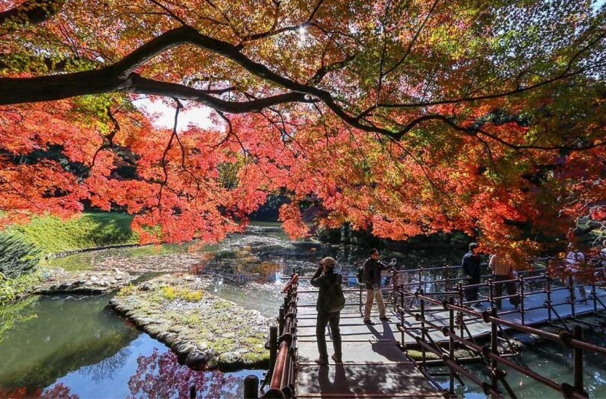 tokyo-du-lich-nhat-ban-thang-11