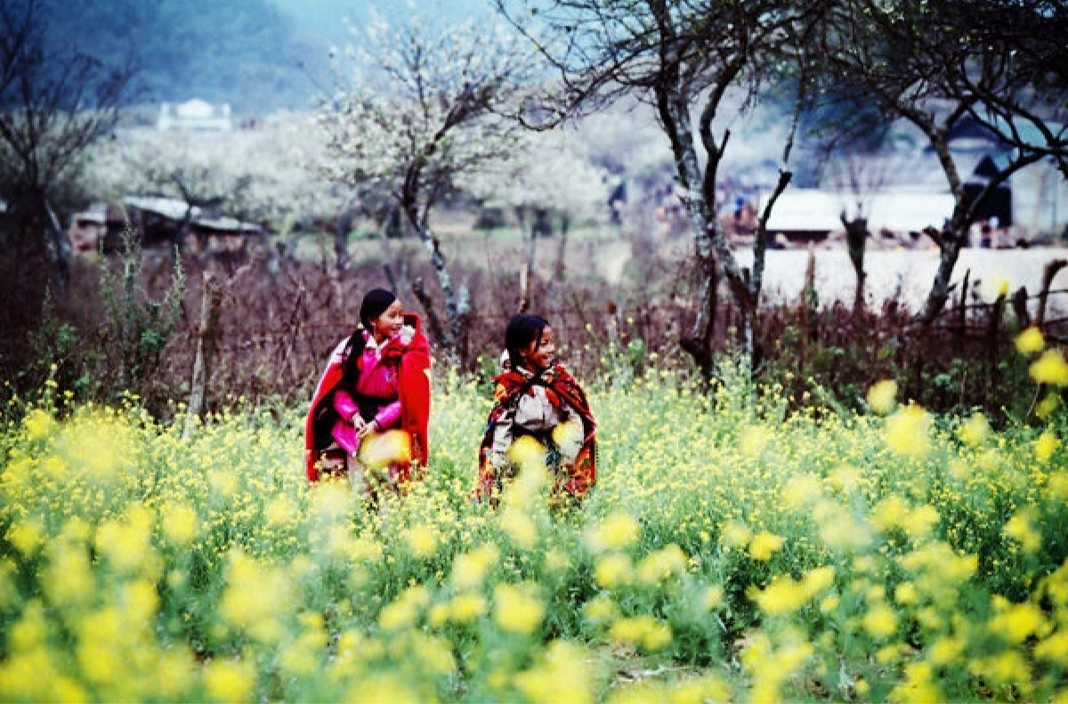 trai-nghiem-du-lich-viet-nam-mua-dong